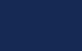 00969-58 Navy Blue Swatch